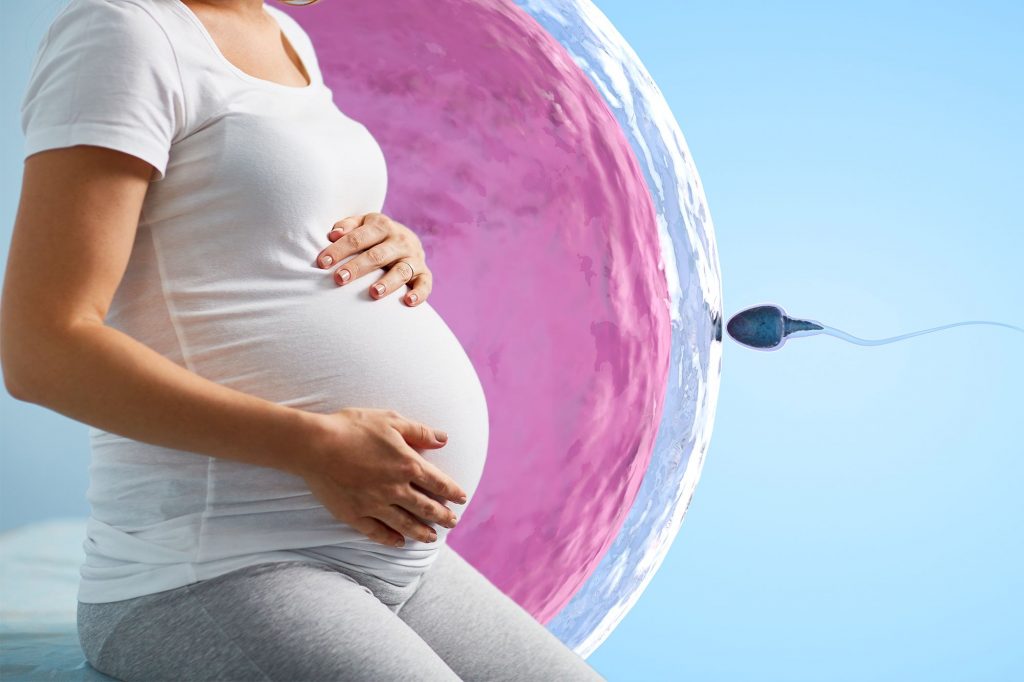 بارداری با IVF 