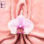 لبیاپلاستی بدون بخیه - دکتر بیتا زلالی