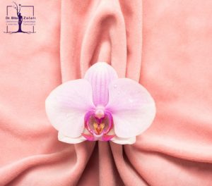 لبیاپلاستی بدون بخیه - دکتر بیتا زلالی