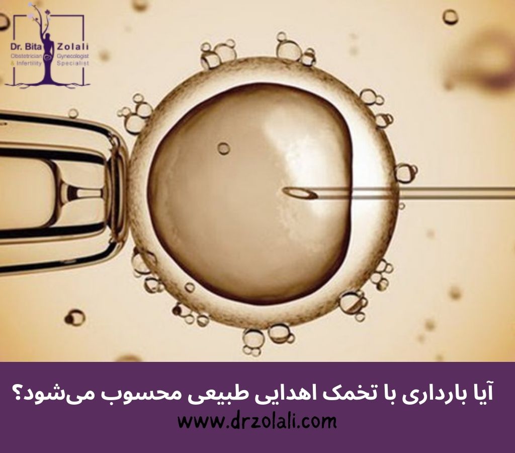 آیا بارداری با تخمک اهدایی طبیعی محسوب می‌شود؟- دکتر بیتا زلالی